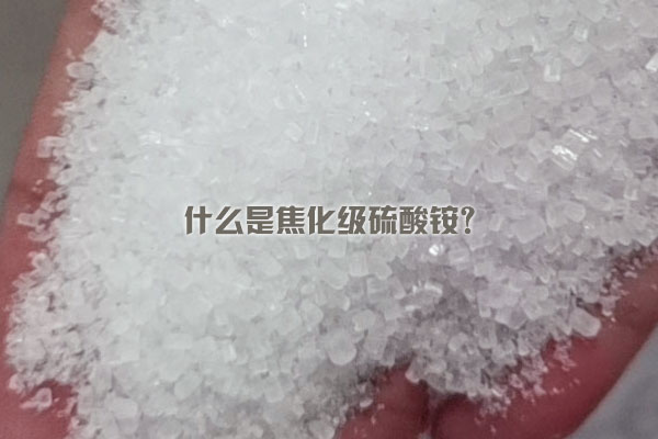 什么是焦化級硫酸銨？