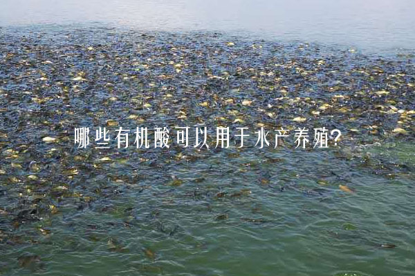 哪些有機(jī)酸可以用于水產(chǎn)養(yǎng)殖？